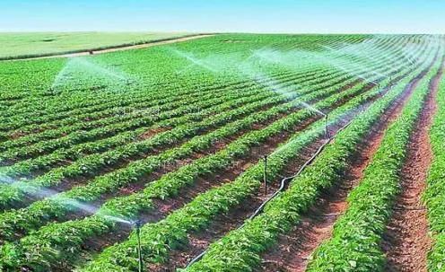 我想操大逼农田高 效节水灌溉